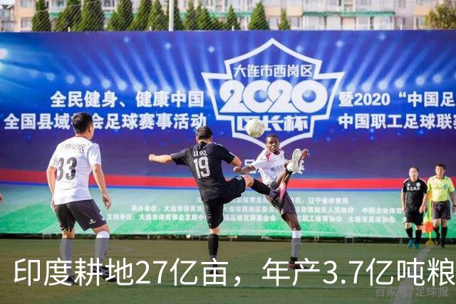 印度耕地27亿亩，年产3.7亿吨粮食，我国耕地19.18亿亩，年产多少